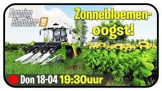 Farming Simulator 19 Mercury farms 13 zonnebloemen oogst [upl. by Nail304]