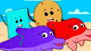 Cookie We Are The Dolphins  Dolphins Song For Kids  Nursery Rhymes By Hello Cookie [upl. by Rodmur]