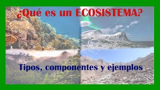 ¿Qué es un ECOSISTEMA Tipos componentes y ejemplos 🏞️🌊🏜️ [upl. by Hillel124]