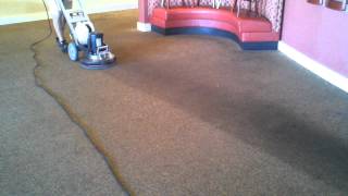 Cleaning Greasy Carpet [upl. by Aridni]