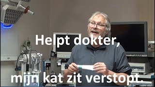 Helpt dokter mijn kat zit verstopt [upl. by Amliw]