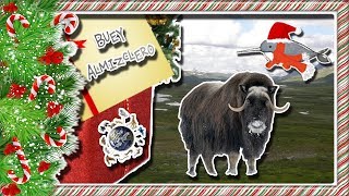 buey almizclero El vikingo con un abrigo espeso  documental de animales salvajes [upl. by Yahsan]