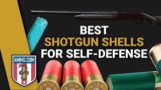 The Best Shotgun Shells for Home Defense Defend Your Castle [upl. by Htebazle]