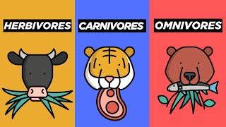 What is the Difference Between Herbivores Carnivores and Omnivores [upl. by Alic762]