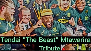 Tendai quotThe Beastquot Mtawarira Tribute  Springbok Rugby 🏉 Player GREATEST POWERFULL MOMENTS [upl. by Falzetta845]