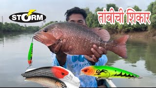 Strome thunder barra 🎣तांबी पकड़न्यासाठी वापरले हे लूर🎣redsnapper mangrovesfishingkokan [upl. by Alleirbag]