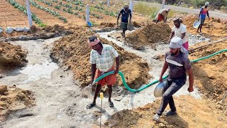 Strongest Foundation TechniquesDurable Solid Stone Bedrock Making On House with Cement Mix [upl. by Asyen449]