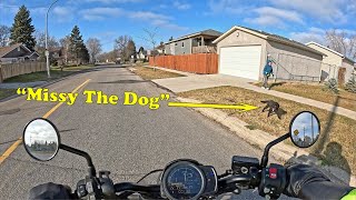 Honda Rebel 1100 DCT Winnipeg Part 181 [upl. by Jodoin]