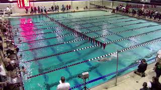 WIAA Division 2 Sectional Swimming Meet at Menomonie [upl. by Nuawaj]