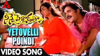 Chup Chup Thara Video Song  Ninne Pelladatha Movie  NagarjunaTabu [upl. by Silverman455]