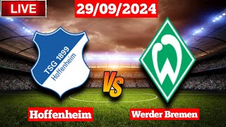 Hoffenheim vs Werder Bremen  Bundesliga  Fifa Live Score Match [upl. by Eillek49]