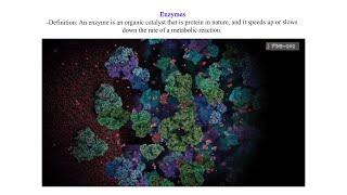 Enzymes [upl. by Bunnie]