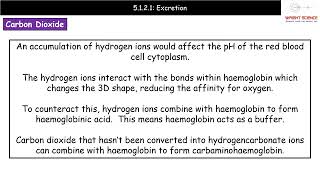 A Level Biology 5121  Excretion [upl. by Whitaker734]