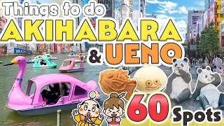 Things to do in Akihabara and Ueno Tokyo  Japan Travel Update 2024 [upl. by Pierette]