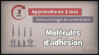 162 ◽ Molécules dadhésion Partie 1 [upl. by Scrope]