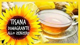 Tisana dimagrante allo Zenzero ricetta per dimagrire [upl. by Notrem]