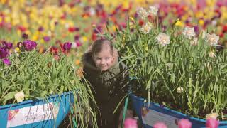 Floriade 2017 [upl. by Nyleahcim]