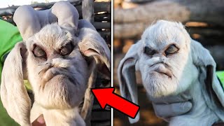 Top 20 Evil Cross Breeding Experiments from Hell [upl. by Iredale]