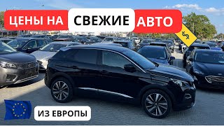 СВЕЖИЕ Авто из Европы Обзор ЦЕН Сентябрь [upl. by Ocram]