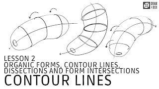 Drawabox Lesson 2 Exercise 2 Organic Forms with Contour Lines [upl. by Hsreh]