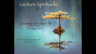 Lecture 19  Extrait quotLa Maîtrise de lAmourDon Miguel Ruiz [upl. by Pages725]