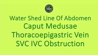 Thoracoepigastric vein SVC IVC Obstruction Water shed line of umbilicus Caput medusae [upl. by Ahseyk679]