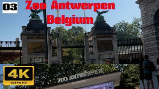 Exploring Zoo Antwerpen  Belgiums Oldest Zoo Adventure [upl. by Eirlav]