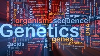 GeneticsLecture 5  Salvage pathway of Nucleotide [upl. by Inamik999]