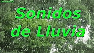 12 horas de lluvia para dormir y relajarse  sonidos de lluvia  dormirse [upl. by Reagan]