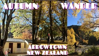 AUTUMN WANDERARROWTOWN NEW ZEALANDTJVNZ arrowtownnz nz autumnz [upl. by Batty206]