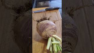 First time tasting Rutabaga Swede Raw and cooked homegrown cooking [upl. by Esmond]