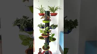 How to grow plants plants indoorplants garden houseplants gardening flowers shorts [upl. by Enirehtacyram]