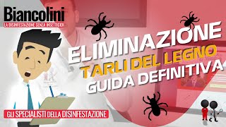 🔴​⚠️Come eliminare i tarli del legno la guida definitiva🔴​⚠️ [upl. by Urba589]