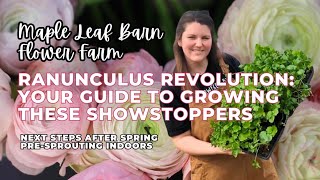 Ranunculus Revolution Your Guide to Growing These Showstoppers  How to Grow Ranunculus [upl. by Alodi]