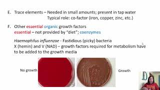 Chapter 6 Microbial Growth [upl. by Htebsil574]