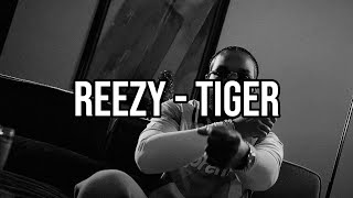 reezy  TIGER Lyrics [upl. by Nelag893]