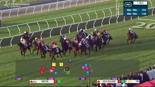 Tannhauser  Group 3 Rough Habit Plate 2000m  Doomben  May 18th [upl. by Oiramaj147]