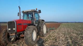 Massey Ferguson 3690 orka wiosenna [upl. by Earas]