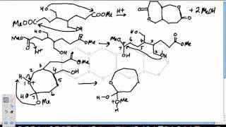 Lactone Ring Formations Part 2 [upl. by Fernanda]