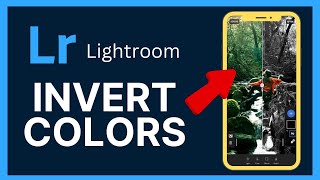 How to Invert Colors in Lightroom 2024 [upl. by Mundt]