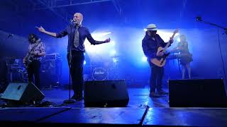 Madame Robert  Live Le Buis Blues 2019 [upl. by Hgielime372]