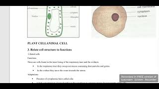 Ciliated cells [upl. by Stutzman]