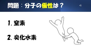 【化学】【極性】猫が出す化学の問題なのです（混成軌道24） [upl. by Lainad]