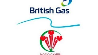 LIVE British Gas  Swim Wales Summer Nationals 2013 S6 [upl. by Shirberg]