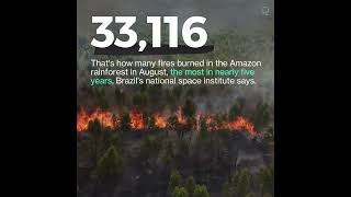 Number of Brazil Amazon Rainforest Fires Hits 5Year High in August [upl. by Nilhtac]