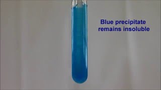 Cation Test Test for Copper II ion with Sodium Hydroxide Solution [upl. by Erbua895]