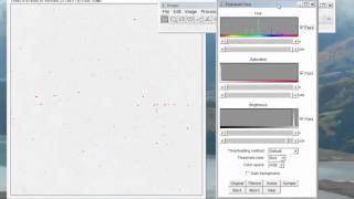 Using ImageJ for small droplet stain analysis [upl. by Ecnahoy]