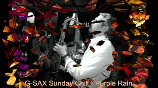 PURPLE RAIN GSAX LIVE  TINA BAR ZURICH [upl. by Berthold78]