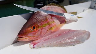 BEST Way to Fillet Yellowtail Snapper Fish Cleaning [upl. by Olaznog]