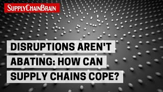 Disruptions Arent Abating How Can Supply Chains Cope [upl. by Cicily]